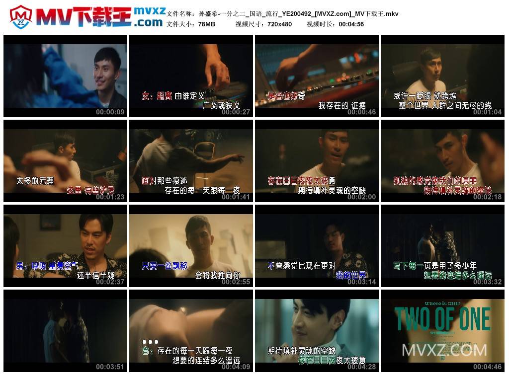 孙盛希-一分之二_国语_流行_YE200492